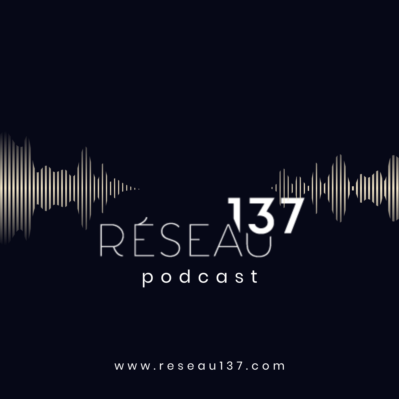 Les Voies de la Transition by Réseau137 podcast artwork