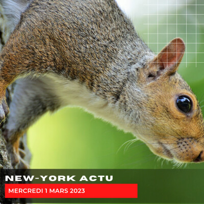 Mercredi 1er Mars cover