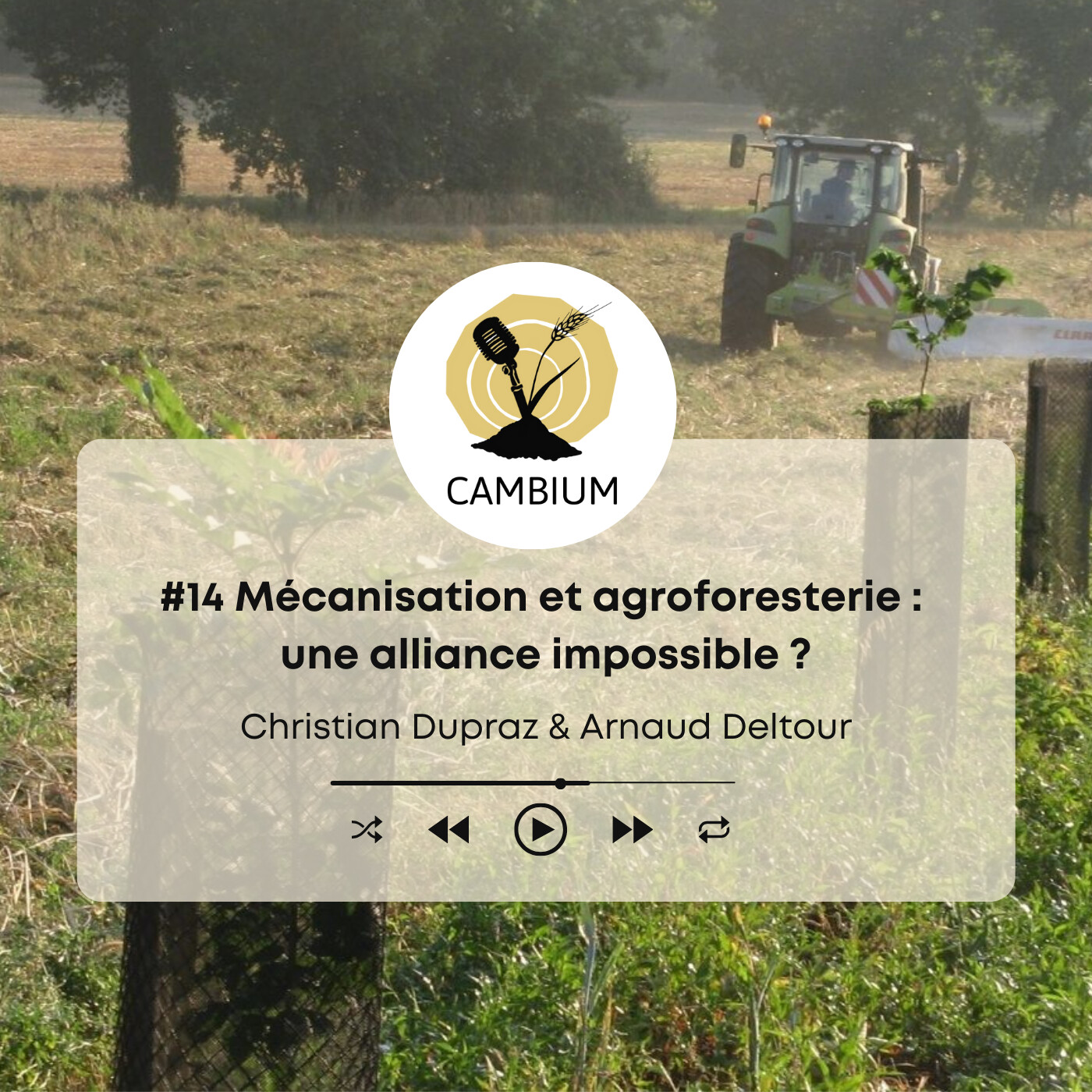 CAMBIUM, le podcast de l\'agroforesterie