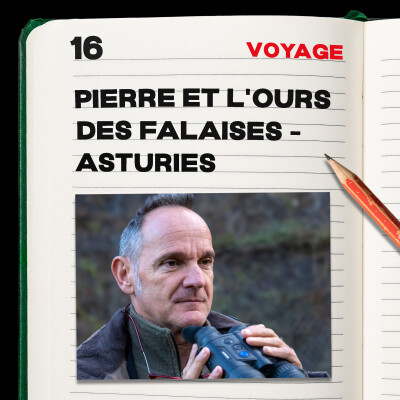 #16. Pierre et l'Ours des falaises cover