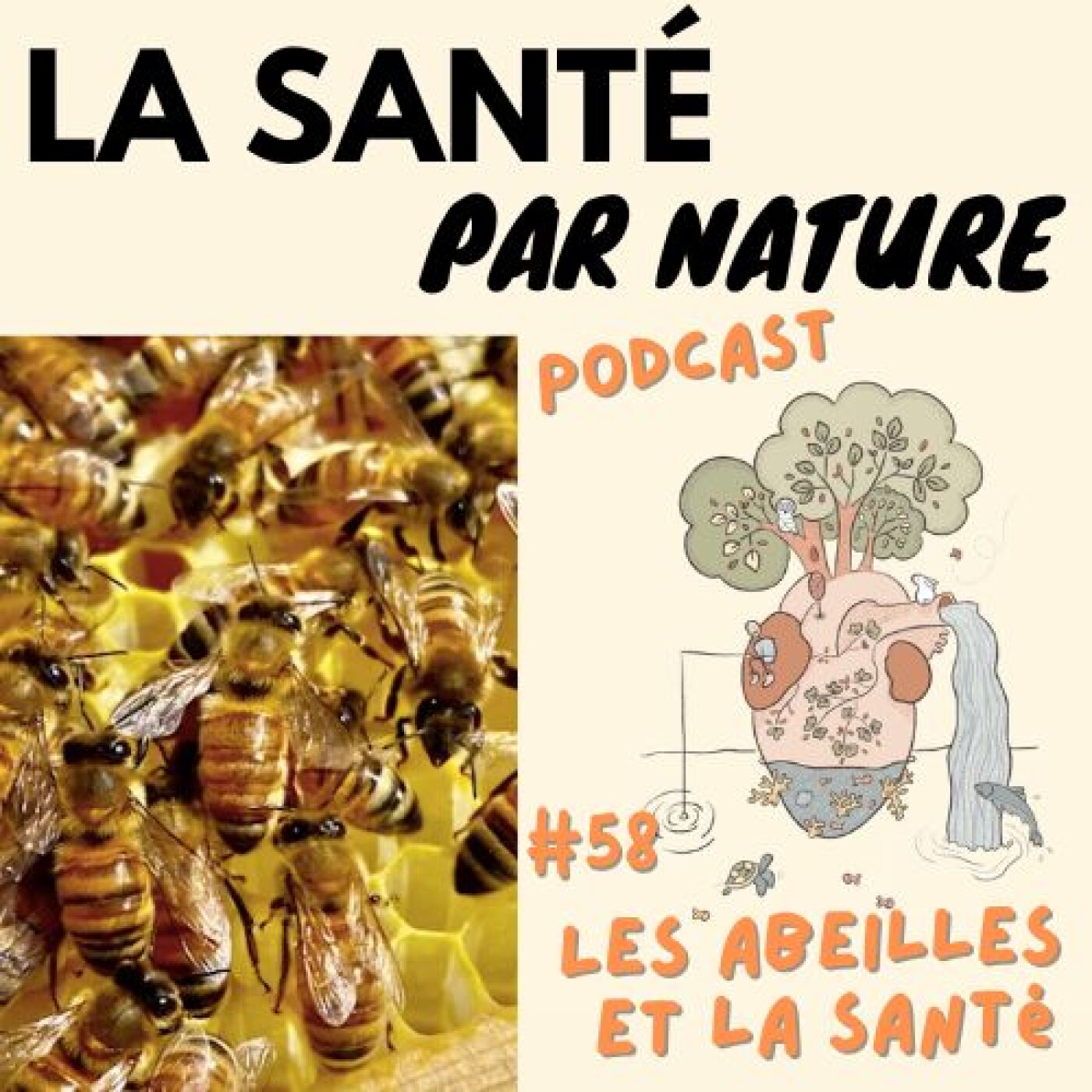 #58 - Comment les abeilles nous aident-elles à rester en bonne santé ? episode artwork