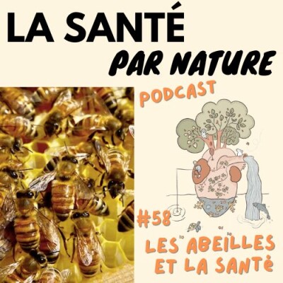 #58 - Comment les abeilles nous aident-elles à rester en bonne santé ? cover