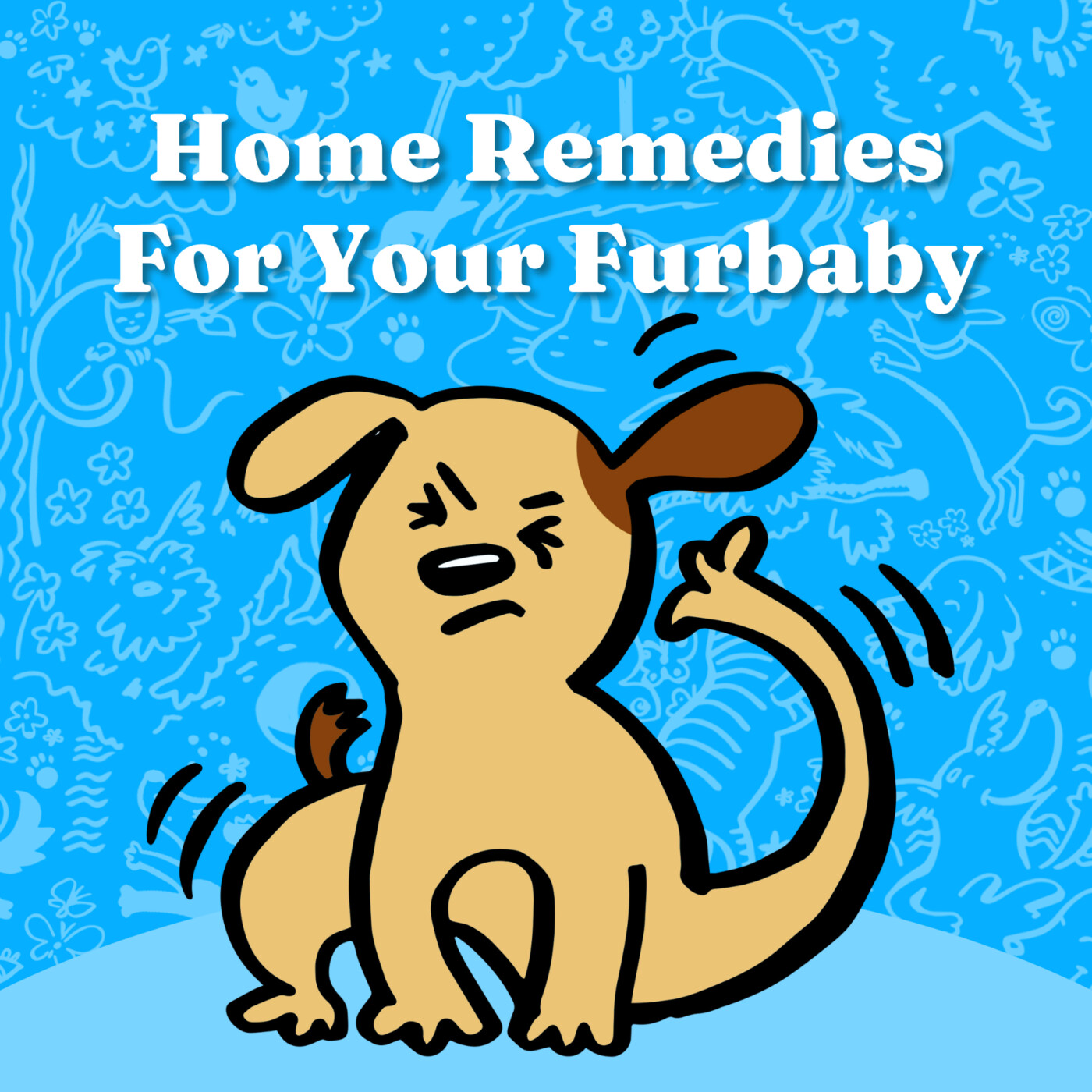 At-Home Pet Care Tips episode artwork