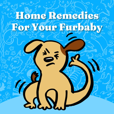 Home Remedies For Your Furbaby cover