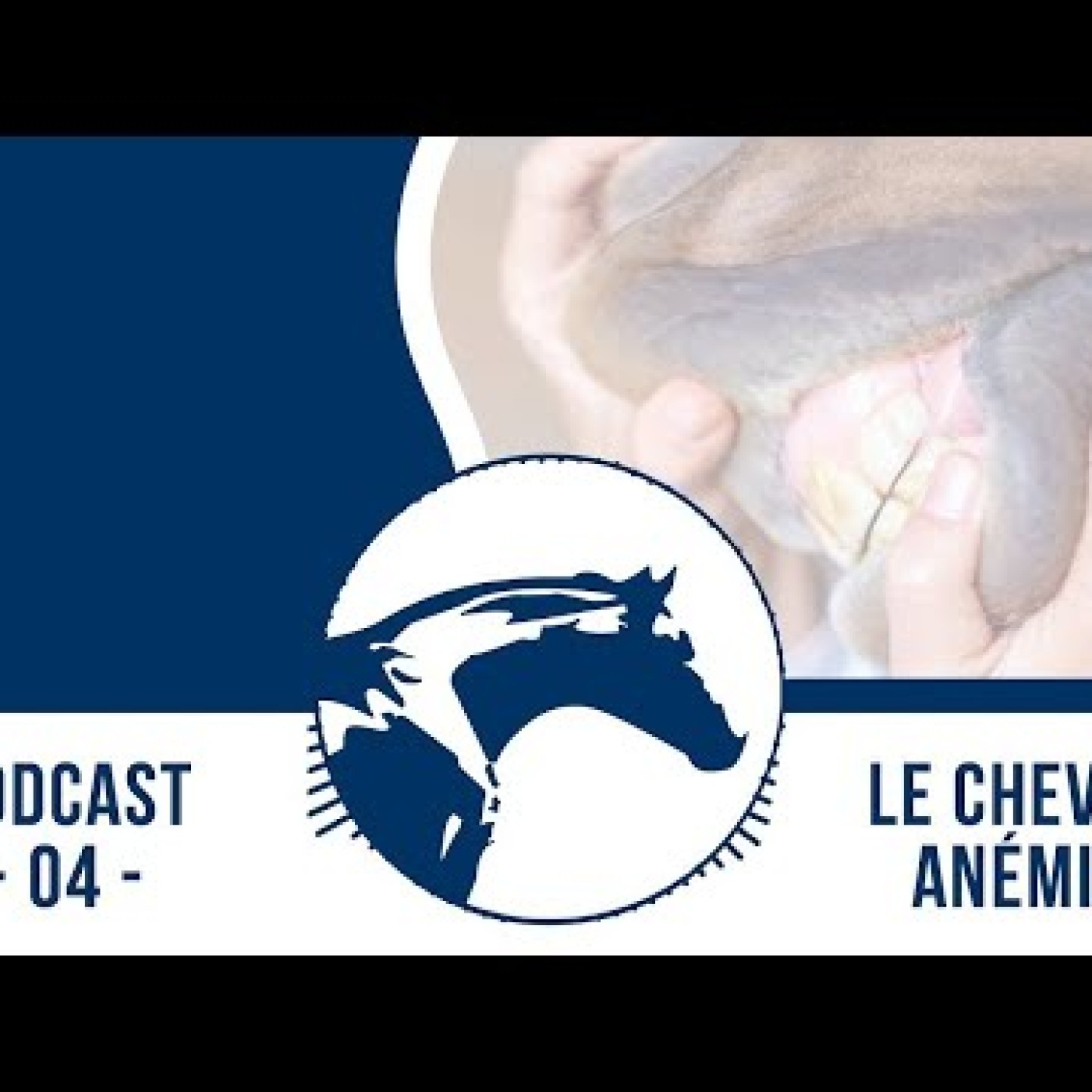 Podcasts vétos Reverdy Nutrition Équine 🎙