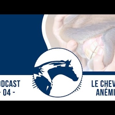 🎙 Podcast by Reverdy #4 | Anémie du cheval cover