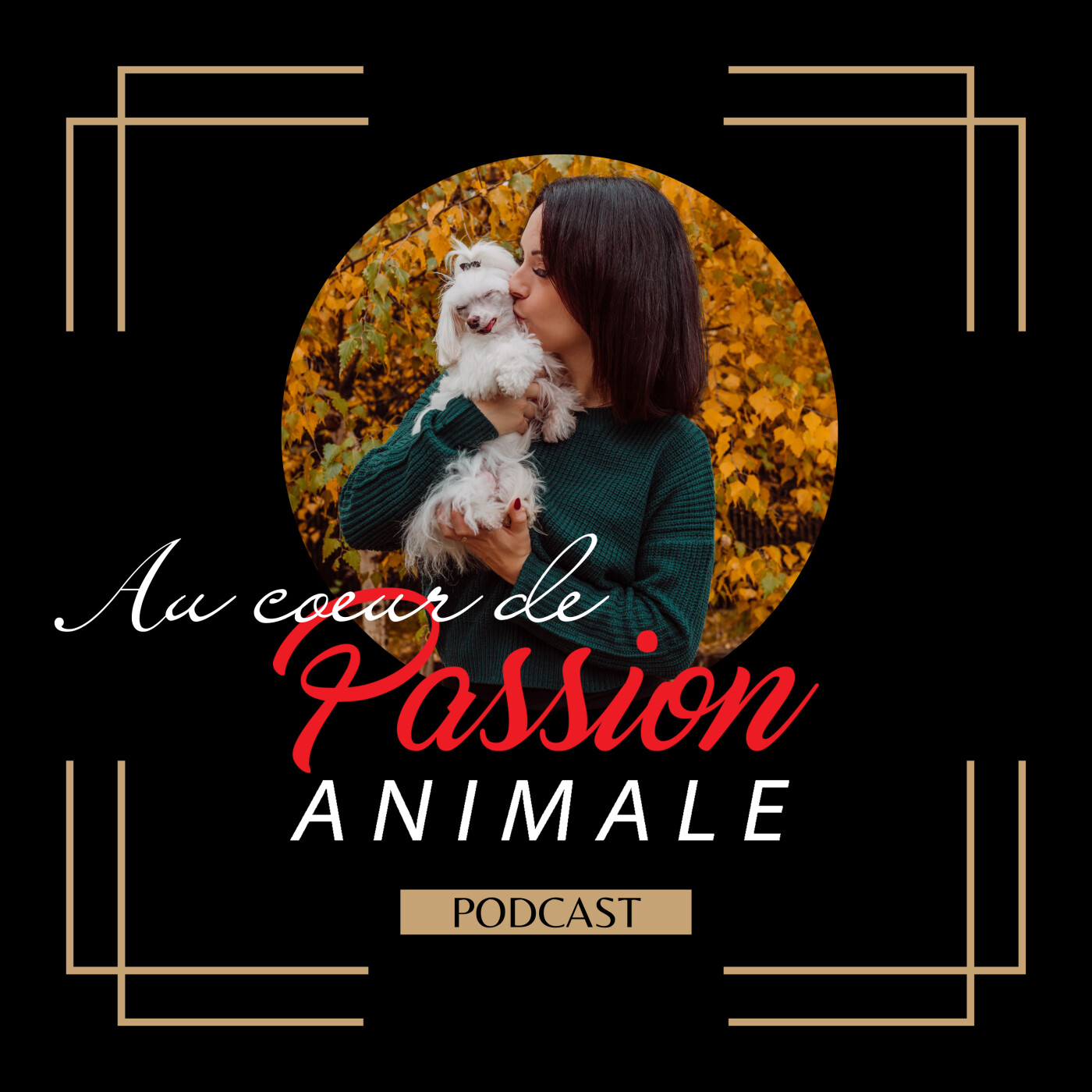 Au coeur de Passion Animale