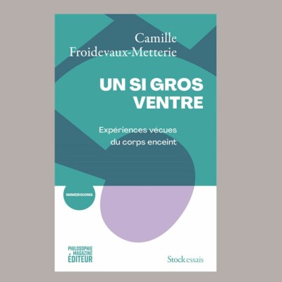 Camille Froidevaux-Metterie - Un si gros ventre cover