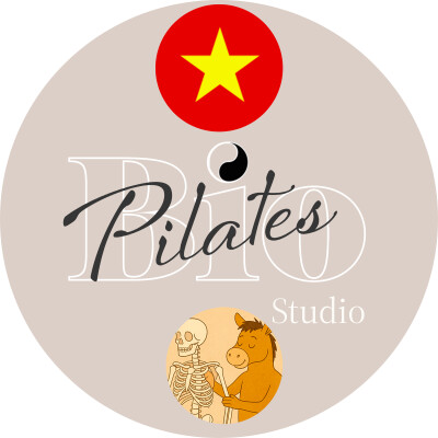 🇻🇳  🐎 Gandour và Nghệ thuật Cân bằng Cổ: Đối thoại Nhân Mã - Cervical Spine cover