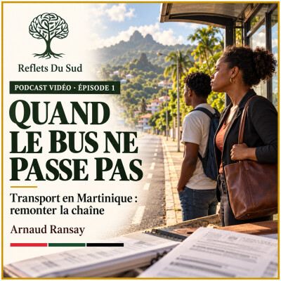 Transport en Martinique : pourquoi ça bloque ? cover