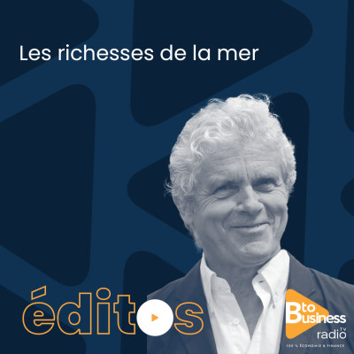 Les richesses de la mer | Claude Serillon, journaliste, écrivain et auteur de « Journal 2020 » aux éditions Cent Mille Milliards cover