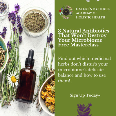 3 Natural Antibiotics Won’t Destroy Your Microbiome Free Masterclass cover