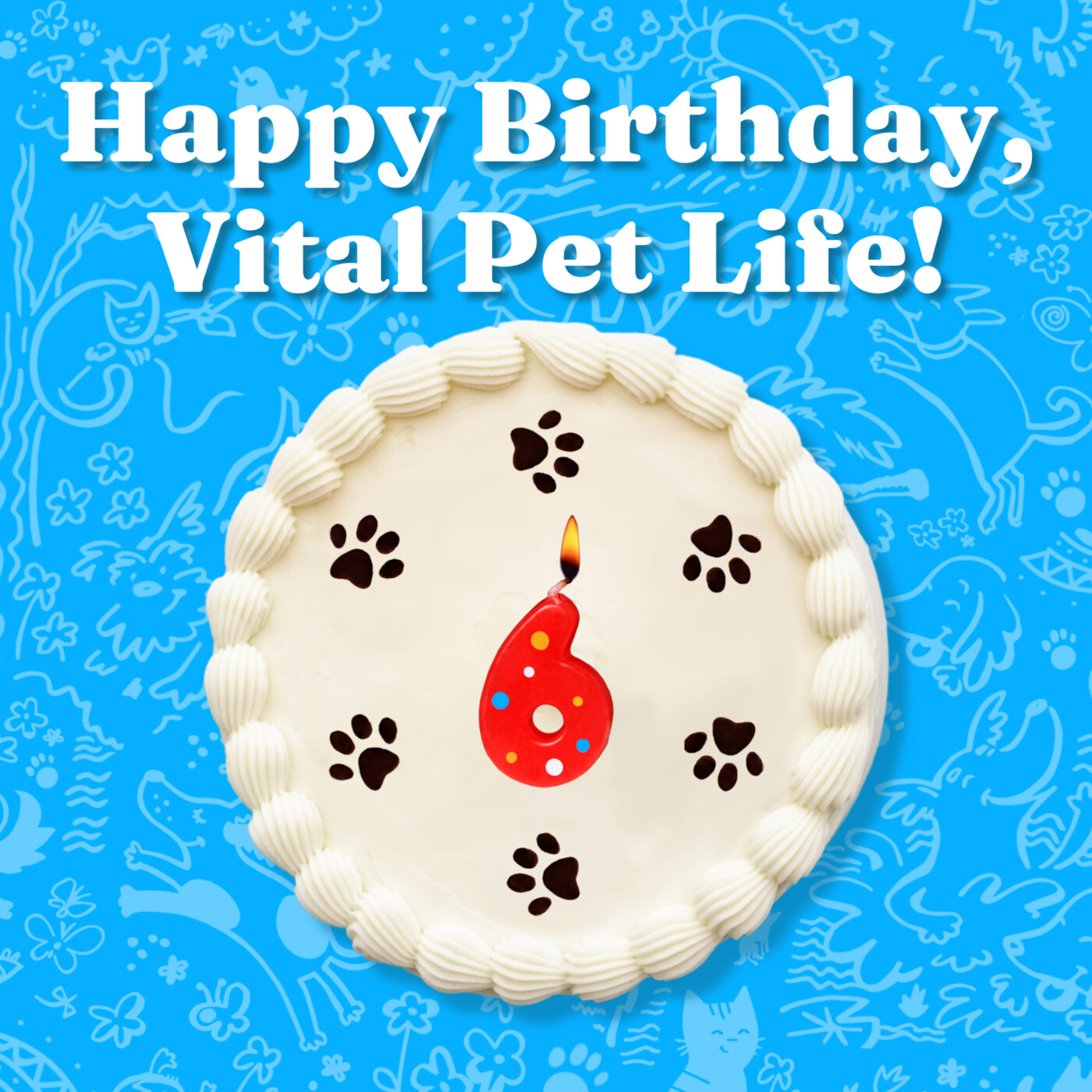 Happy Birthday Vital Pet Life! episode artwork
