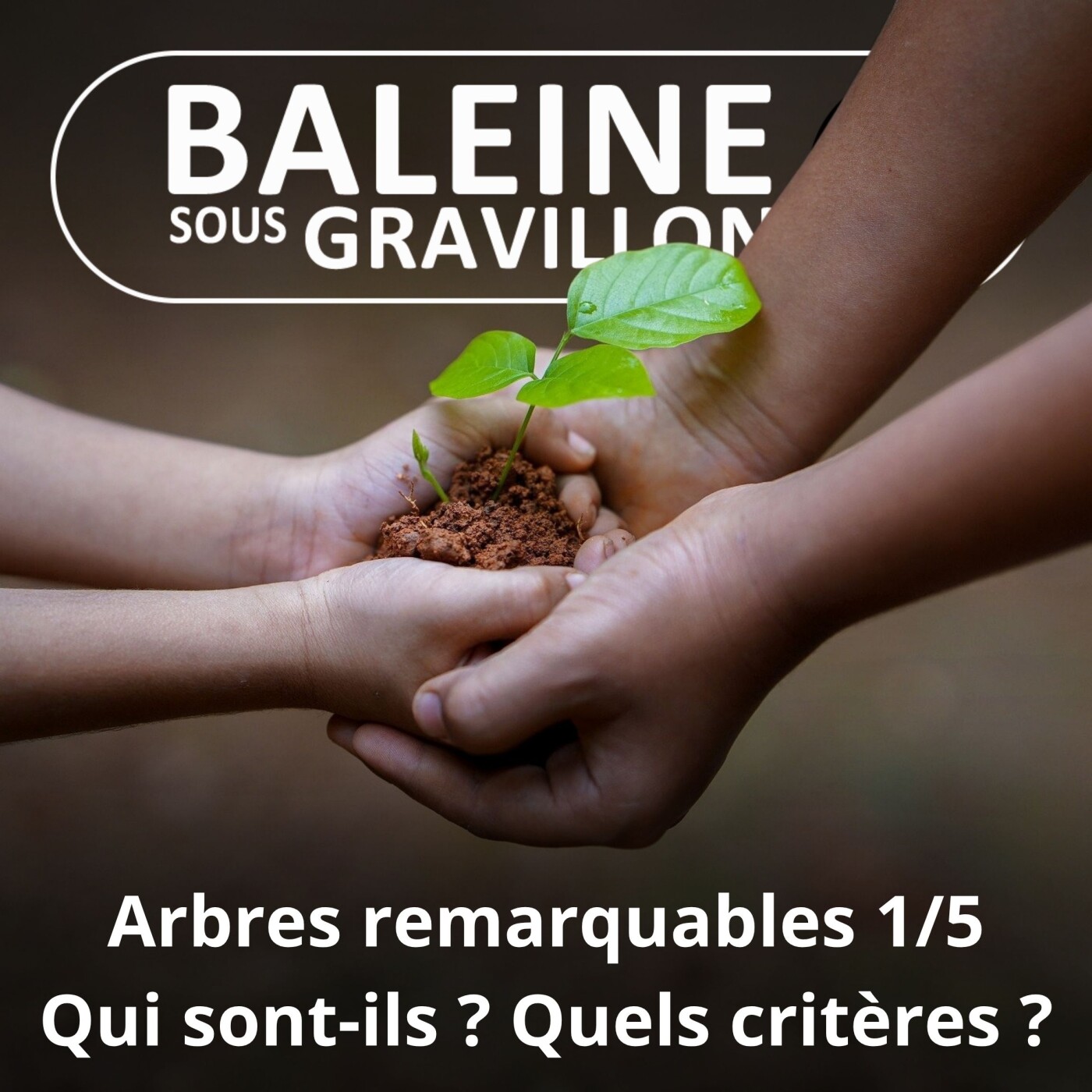 S05E61 Arbres remarquables 1/5 : Qui et où sont-ils ? (Georges Feterman) episode artwork