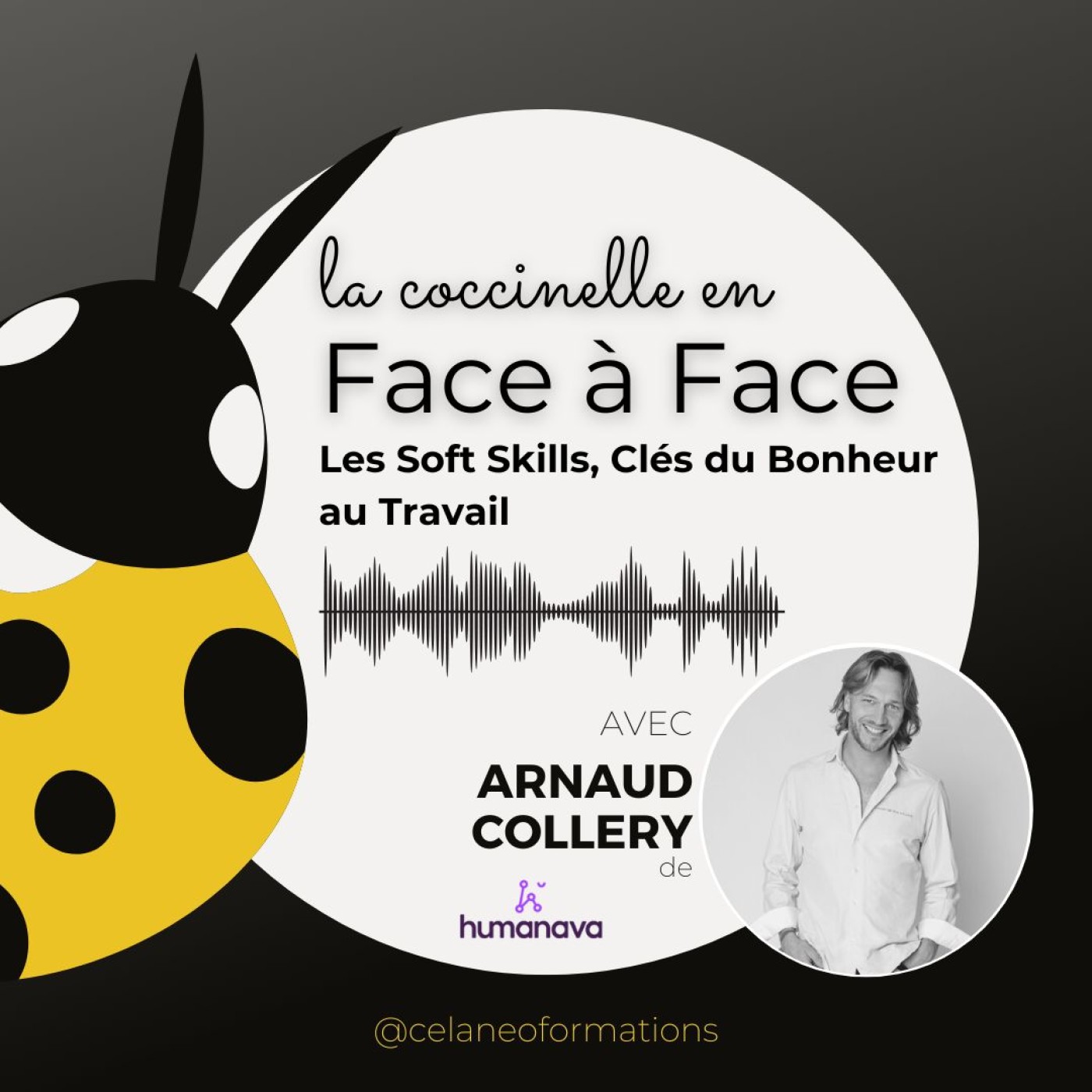 Les Soft Skills, Clés du Bonheur au Travail avec HUMANAVA