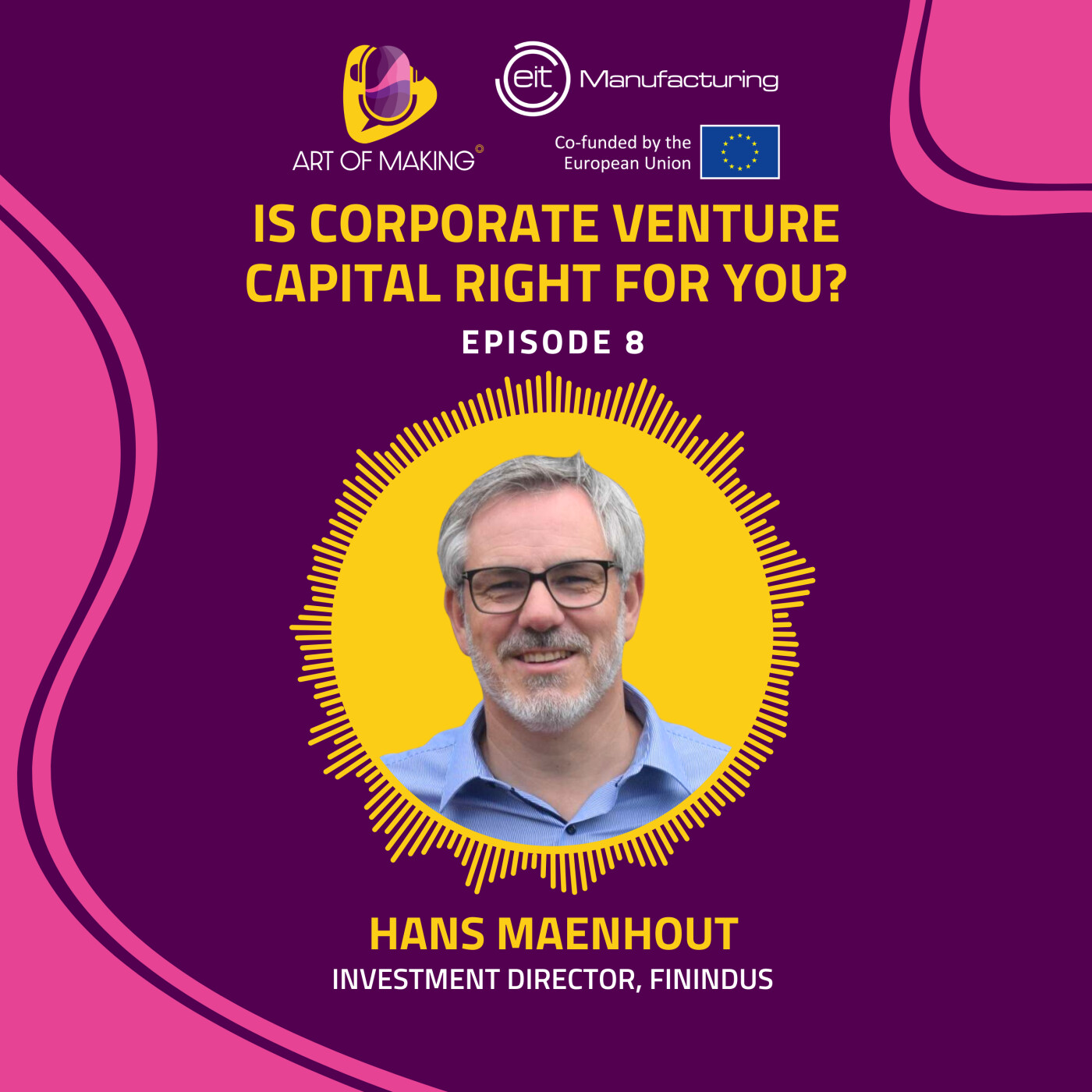 #8 - Is corporate venture capital right for you? - Hans Maenhout episode artwork