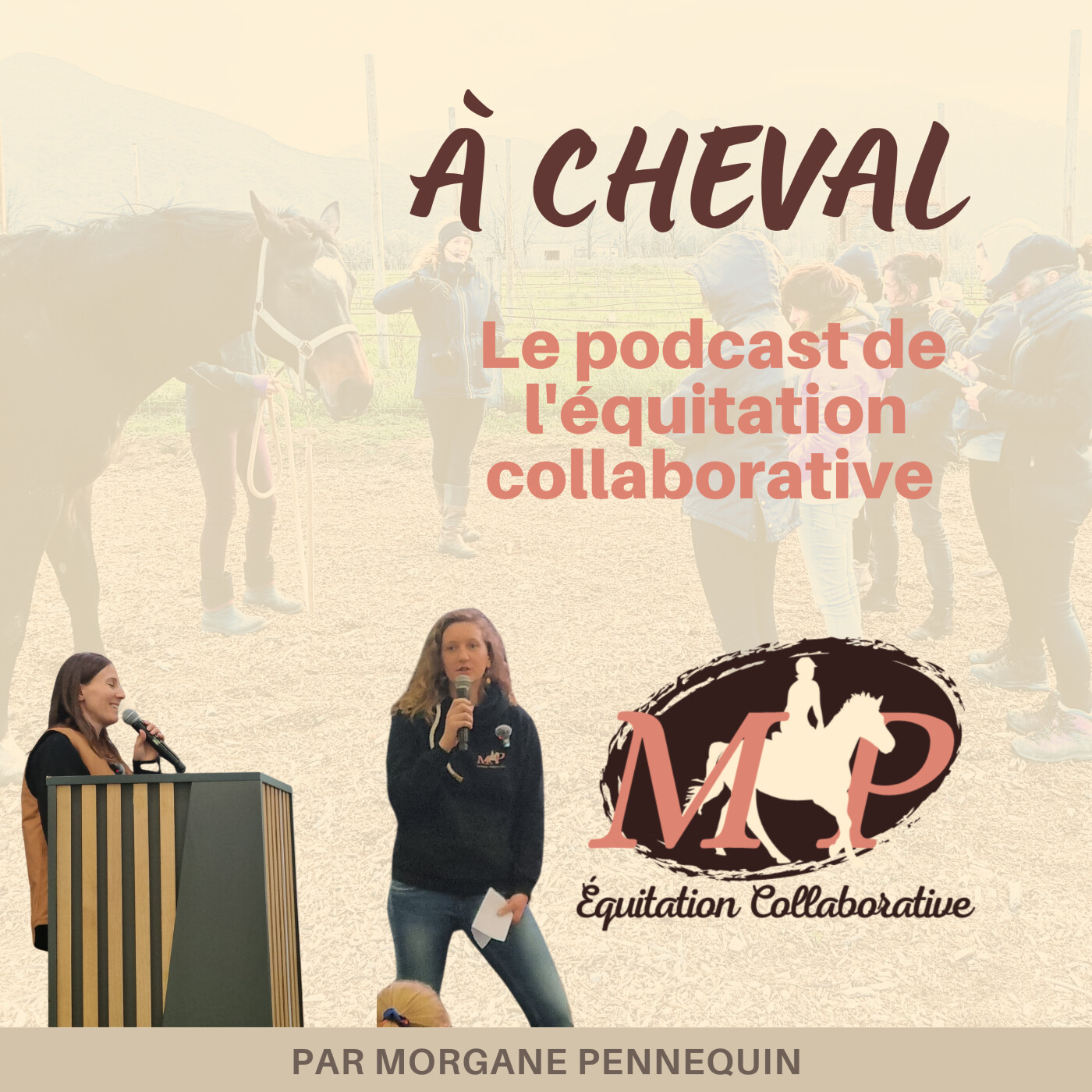 [Rediffusion de la conférence  du Jumping de Bordeaux] Observer au-délà de la bientraitance