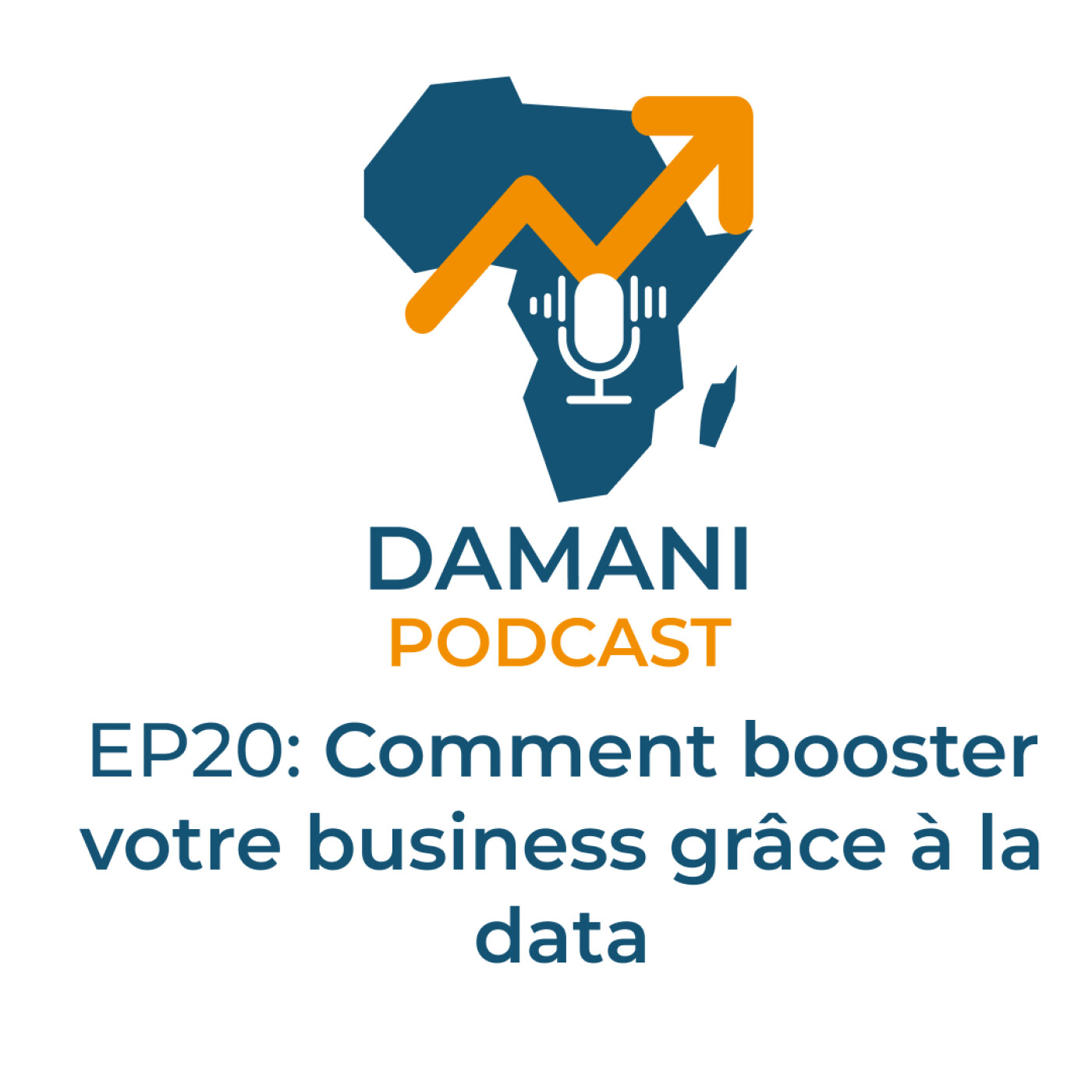 #20: Comment optimiser votre business grâce à la data episode artwork