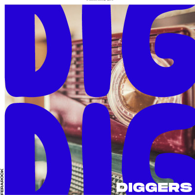 DIG DIG DIGGERS avec Animal Triste, Bold et Radio Ballade cover