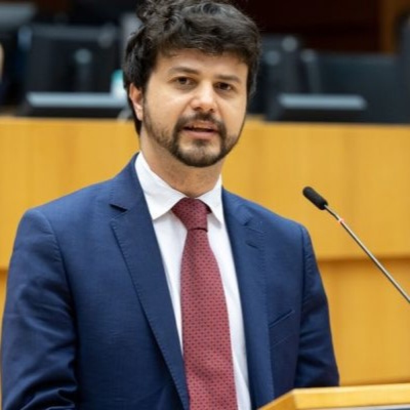 Brando Benifei: rischi e potenzialità dell'IA [italiano] episode artwork