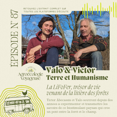 #87 Terre et Humanisme 🍂 La LiFoFer, un savoir paysan natif de la forêt cover