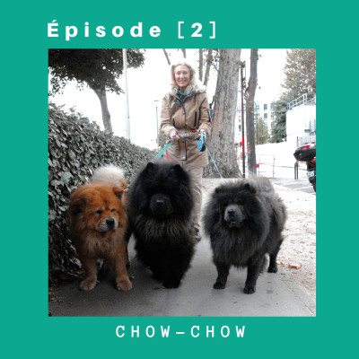 #2 - Le CHOW-CHOW avec Florence et Akira, Kulan, Xena cover