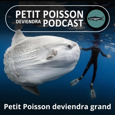 BEST OF D'ÉTÉ #10 : Petit baigneur deviendra... immense (Bill François) cover