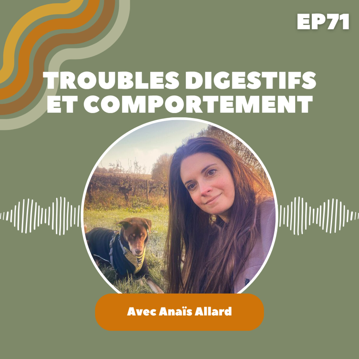 EP71 : Anaïs Allard - Troubles digestifs et comportement, et si ton chien avait mal au ventre ?