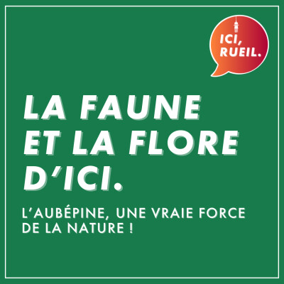 La Faune et la Flore d'Ici : L'aubépine, une vraie force de la nature cover