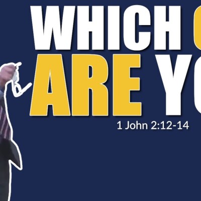 Three Stages of Spiritual Maturity | Expository Preaching cover