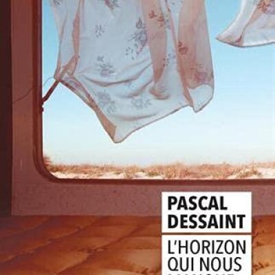 Pascal Dessaint & Beate Braumann - L'horizon qui nous manque cover