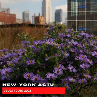 Jeudi 1er Juin cover