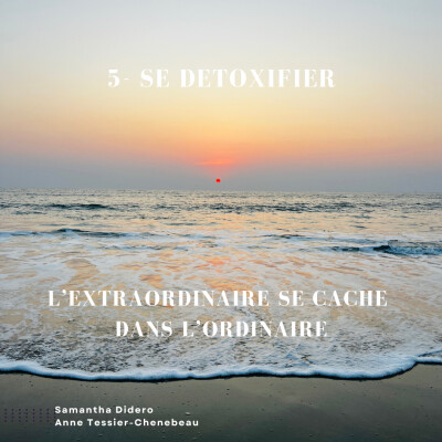 5- SE DÉTOXIFIER - 11 Rituels / pratique de purification cover