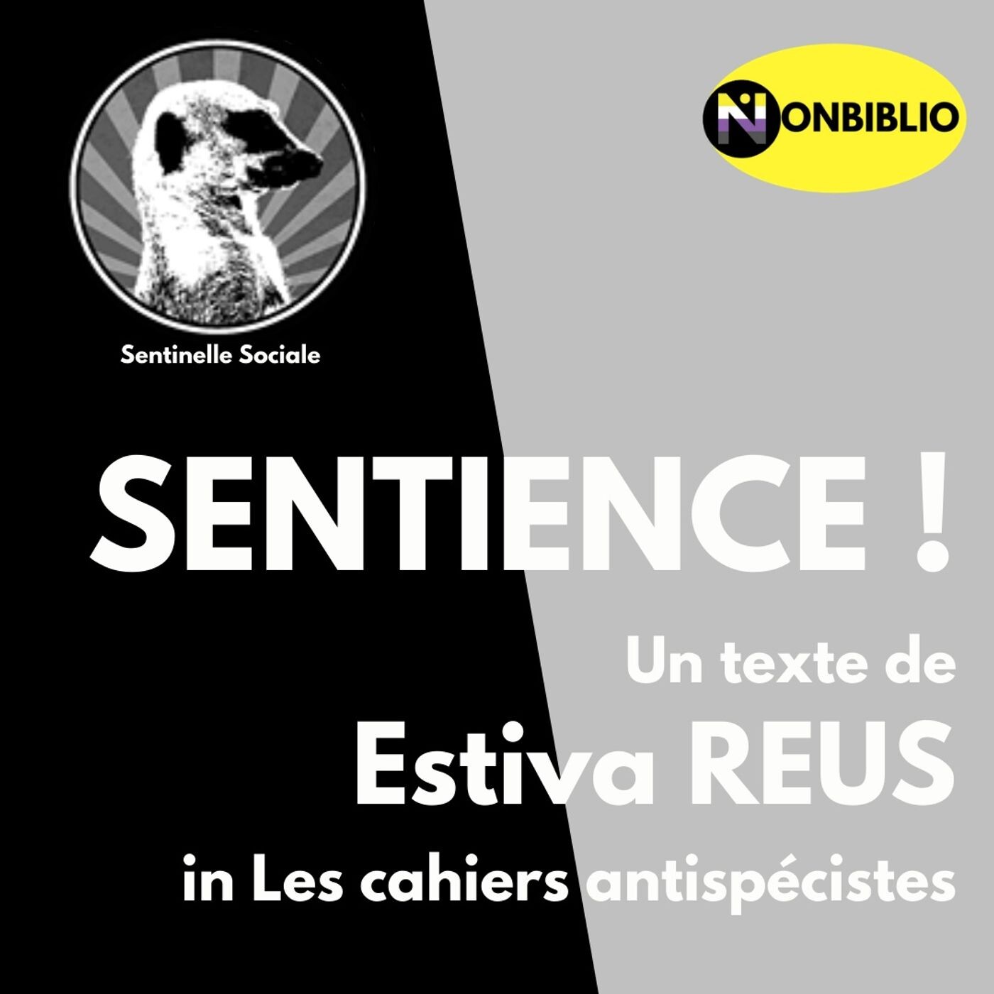 Sentience ! - Estiva Reus episode artwork