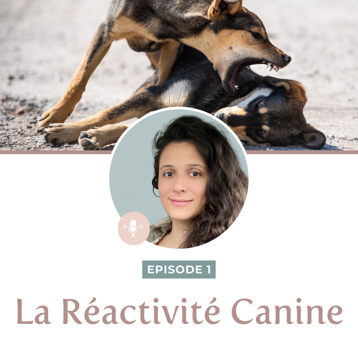 Animale Therapie