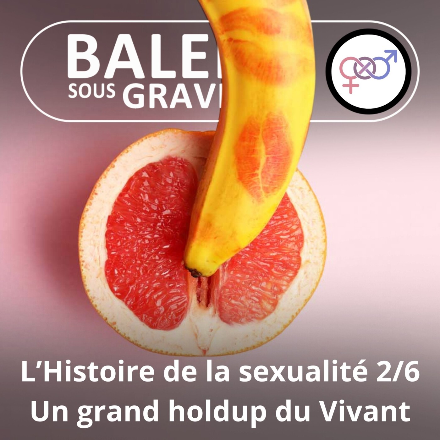 S05E51 Histoire de la sexualité 2/6 : Un des plus grands succès du Vivant episode artwork