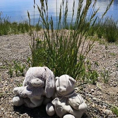 S1E6 - P, P & M - Une vie de globe trotteuse : Et les parents dans tout ça ? cover