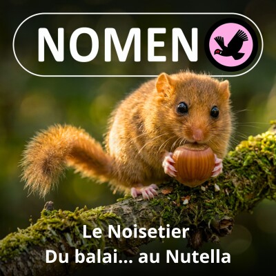 S01E85 Le Noisetier : de la baguette du sourcier au balais de sorcière, en passant par le Nutella cover