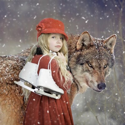 FIFO #28 : Le Loup 3/3, mangeur d'homme ? really ? (Farid Benhammou, géographe) cover