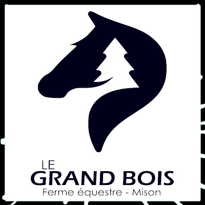 Le Micro des Artisans Épisode 33 : Vaïana Lacombe, La Ferme équestre du Grand Bois à Mison - cover