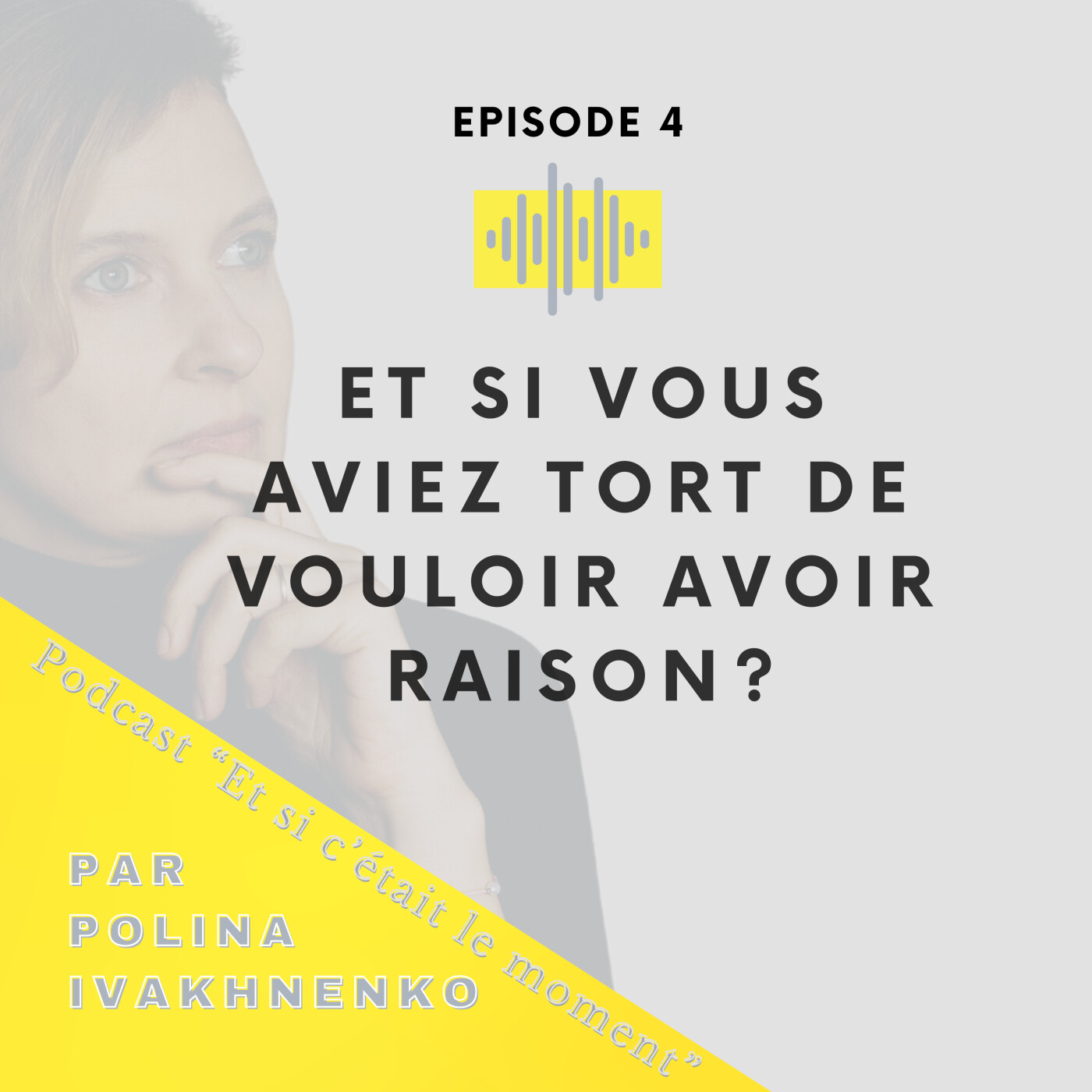Et si vous aviez tort de vouloir avoir raison ? episode artwork