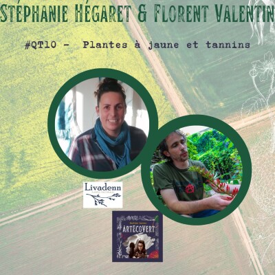 QAT Jour 10 de la Quinzaine de L' Agriculture Tinctoriale : Les flavonoïdes et les tanins cover