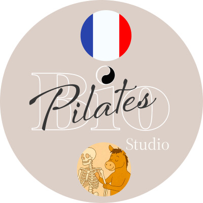 🇫🇷 🏇  Gandour : Sagesse Équine sur la Nuque et l'Équilibre Corporel - le placement des cervicale cover