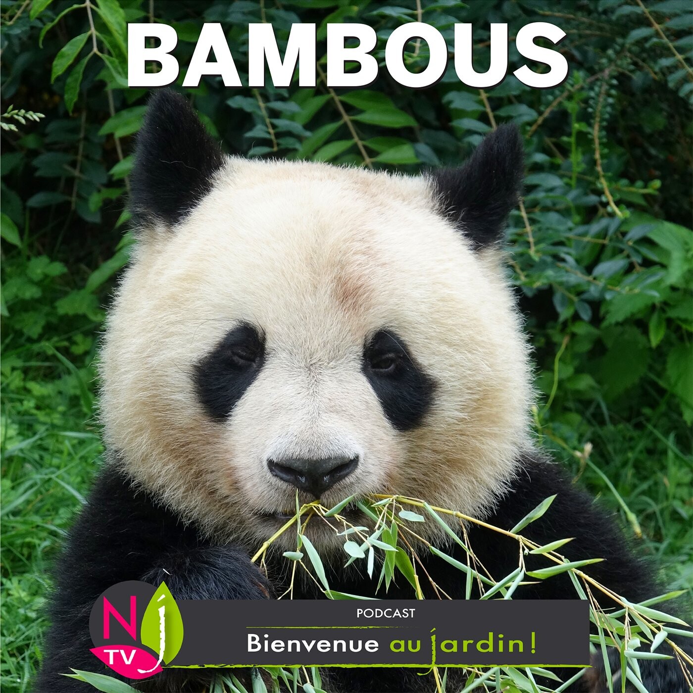 BIENVENUE AU JARDIN