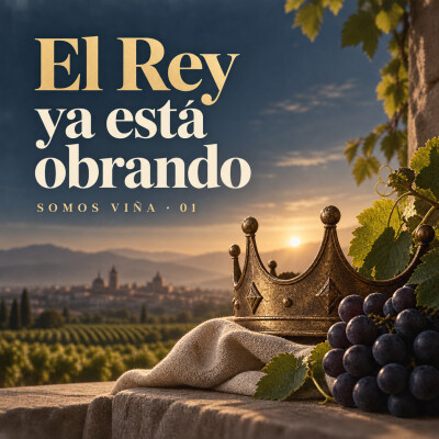 El Rey ya está obrando (aunque no lo veas) | Somos Viña 1 cover