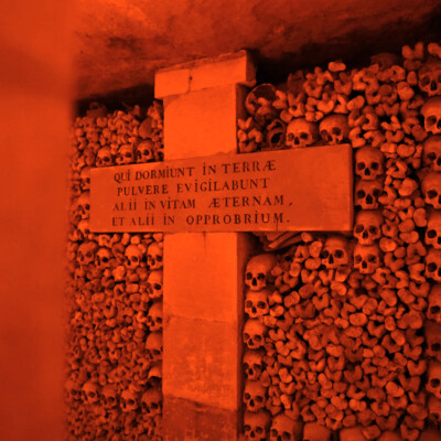 Les Catacombes de Paris rouvrent au public ! cover