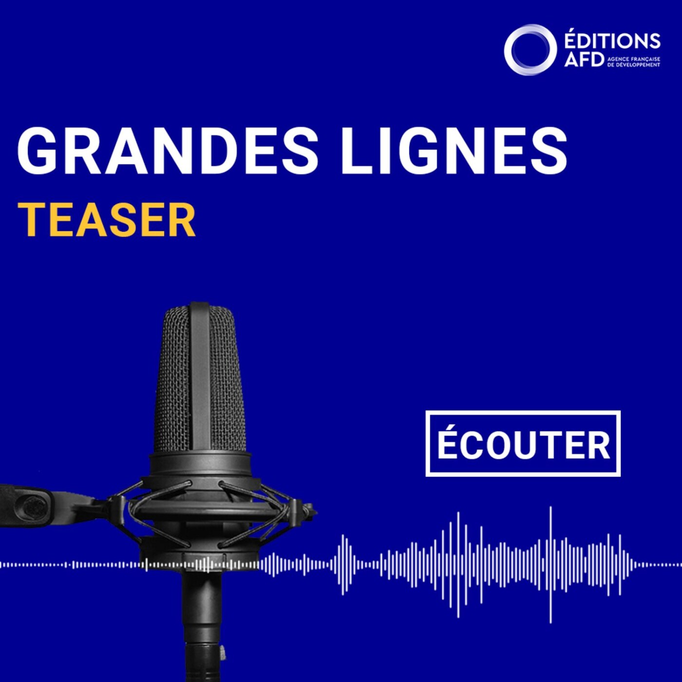 Teaser de l'émission "Grandes lignes : le podcast de la recherche sur le développement de l'AFD"