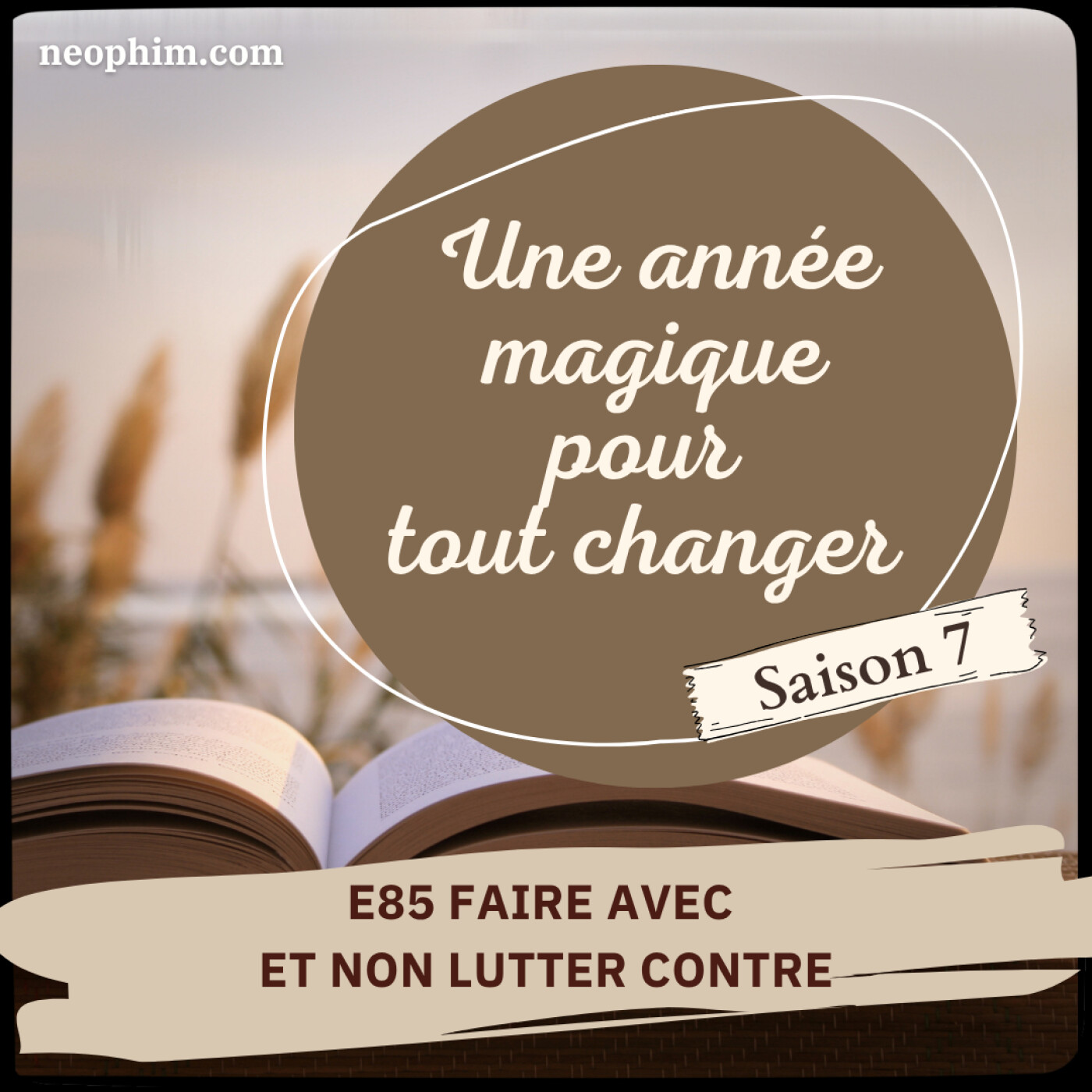 E85 Faire avec et non lutter contre episode artwork