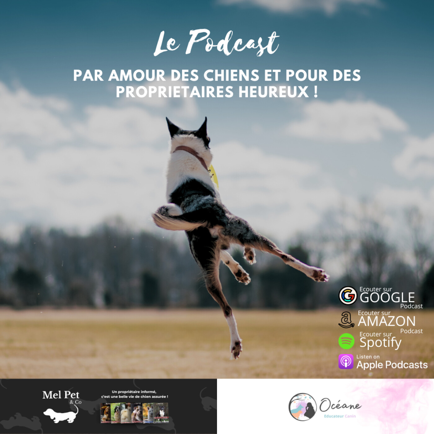 Mel Pet & Co x Océane Educatrice Canine podcast artwork