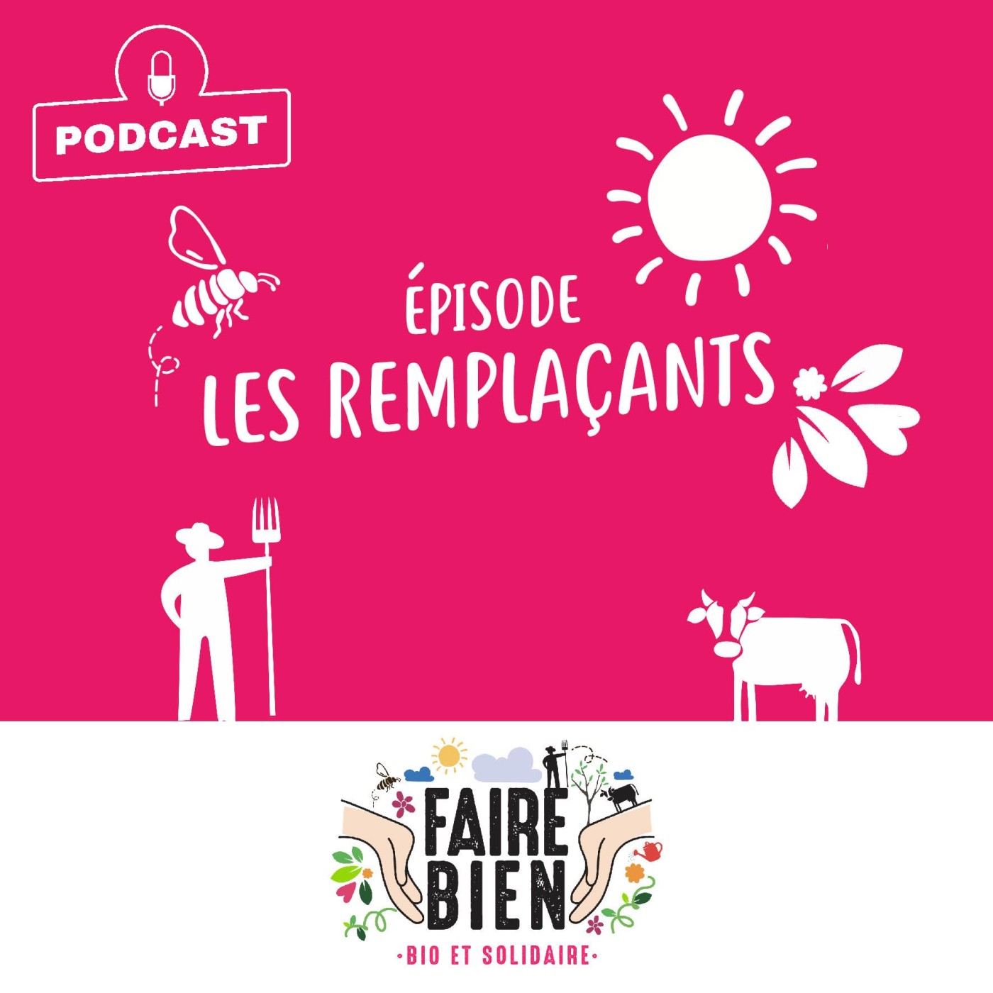 [Les Remplaçants] Céline Collet, déléguée régionale du Service de Remplacement de Normandie episode artwork